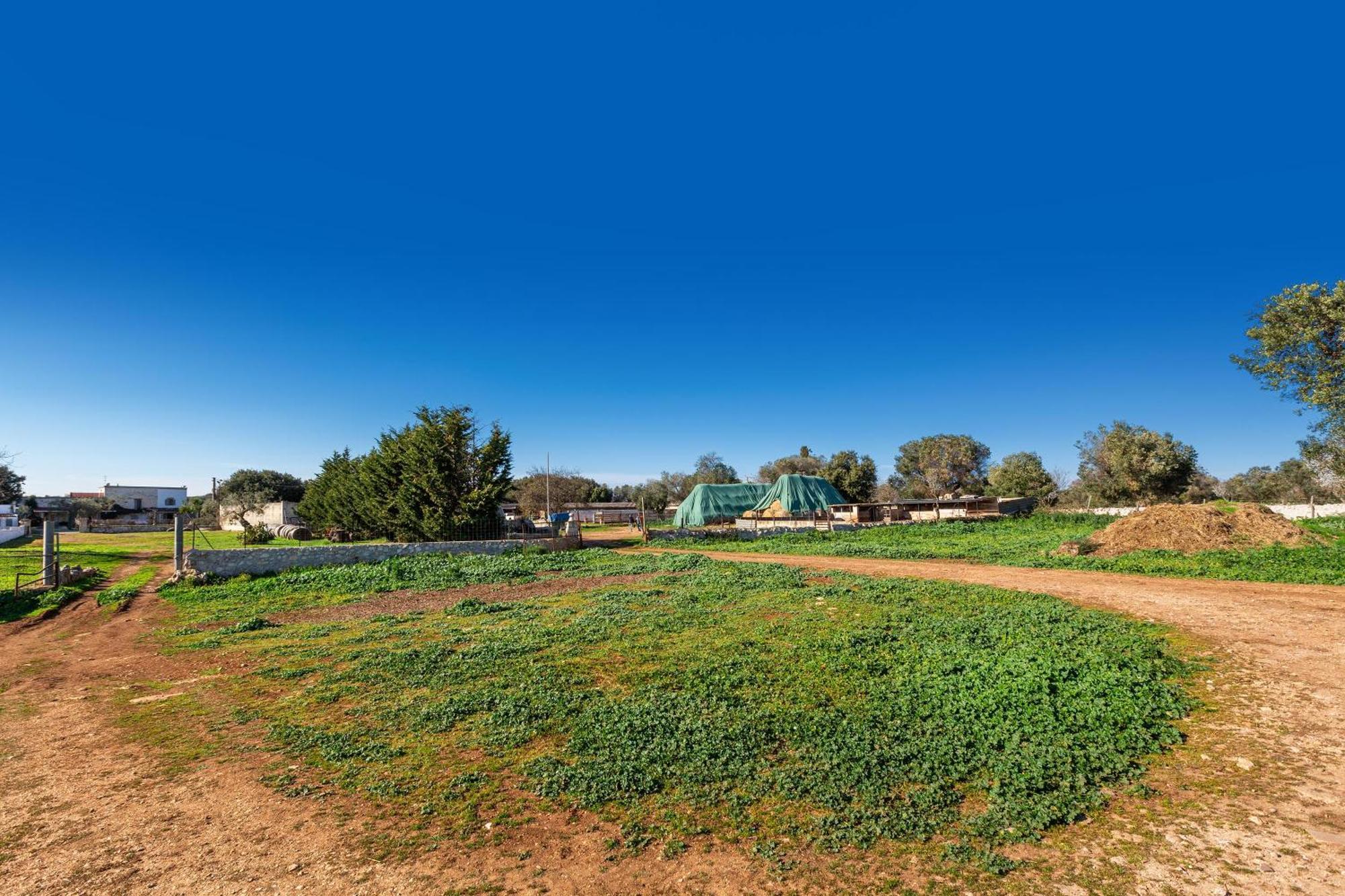 Agriturismo Masseria Carrone Villa Carovigno Exterior photo